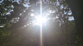 그린톡톡님의 자유주제 · 사진전 작성글 사진