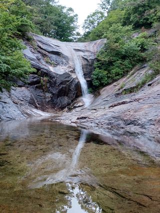 쏭이네농장(현자)님의 자유주제 · 사진전 작성글 사진