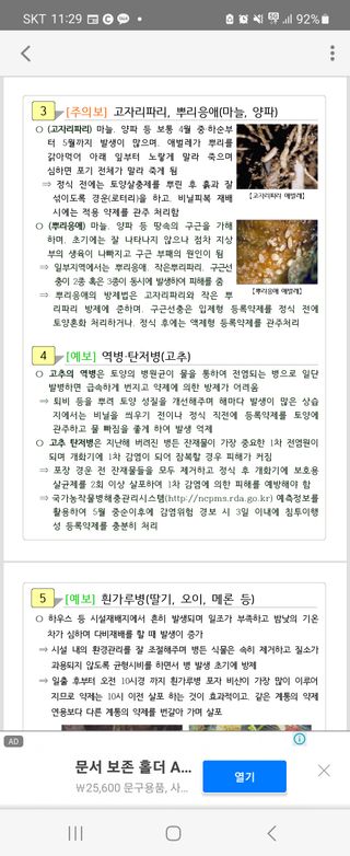 트랜스지방님의 기타작물 · 자유게시판 작성글 사진