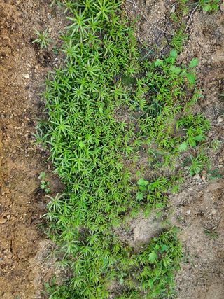 또비님의 자유주제 · 자유게시판 작성글 사진