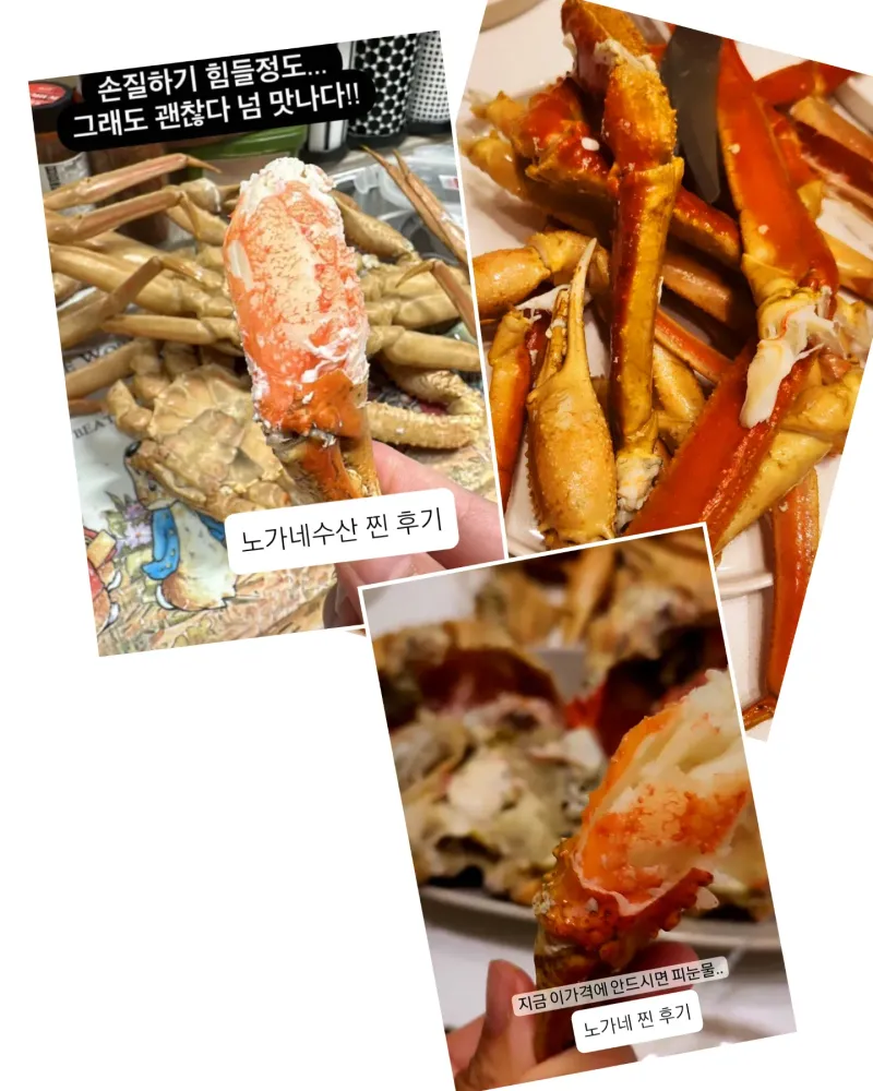 노가네수산님의 장터 판매 상품 [속이꽉찬 박달대게 절지 비품대게 3kg] 첨부 사진