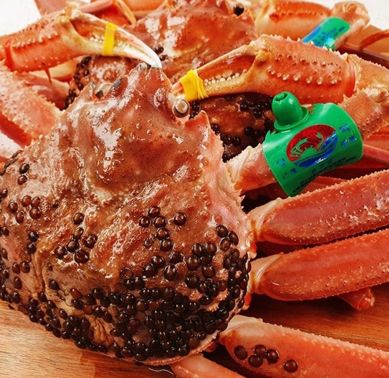 장터 상품 [노가네] 완장대게 강구항 브랜드 영덕 박달대게] 썸네일