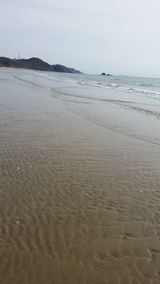 팜모닝 자유주제·사진전 게시글 이미지