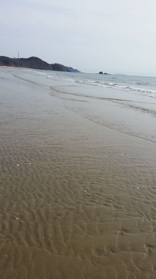 해당화님의 자유주제 · 사진전 작성글 사진