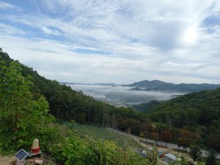 이병욱 님의 자유주제 · 자유게시판 작성글 사진