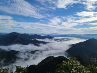 김동환 님의 자유주제 · 사진전 작성글 사진