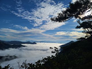 김동환 님의 자유주제 · 사진전 작성글 사진