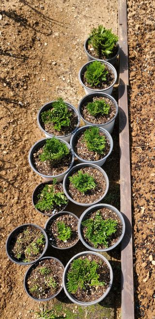 또비님의 작성글 사진