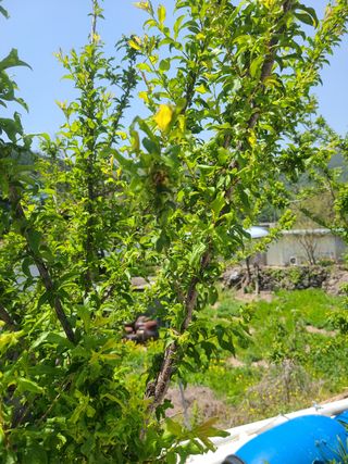 전재문님의 자유주제 · 자유게시판 작성글 사진