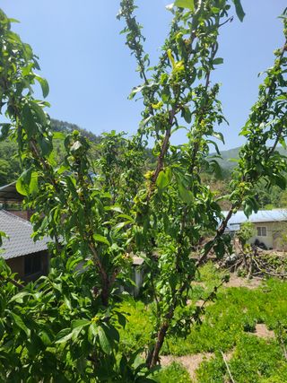 전재문님의 자유주제 · 자유게시판 작성글 사진