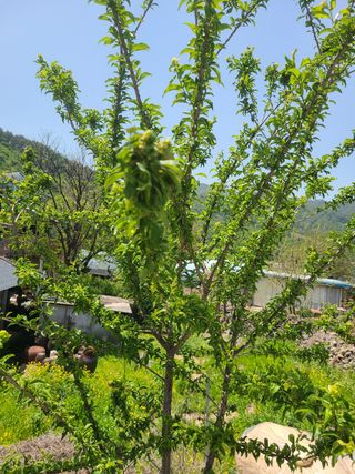 전재문님의 자유주제 · 자유게시판 작성글 사진