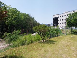 철남 김희곤님의 우리동네 · 동네자랑 작성글 사진