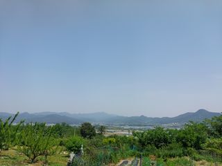 철남 김희곤님의 우리동네 · 동네자랑 작성글 사진