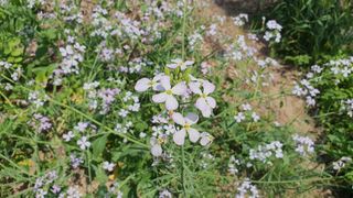 황의성님의 자유주제 · 사진전 작성글 사진