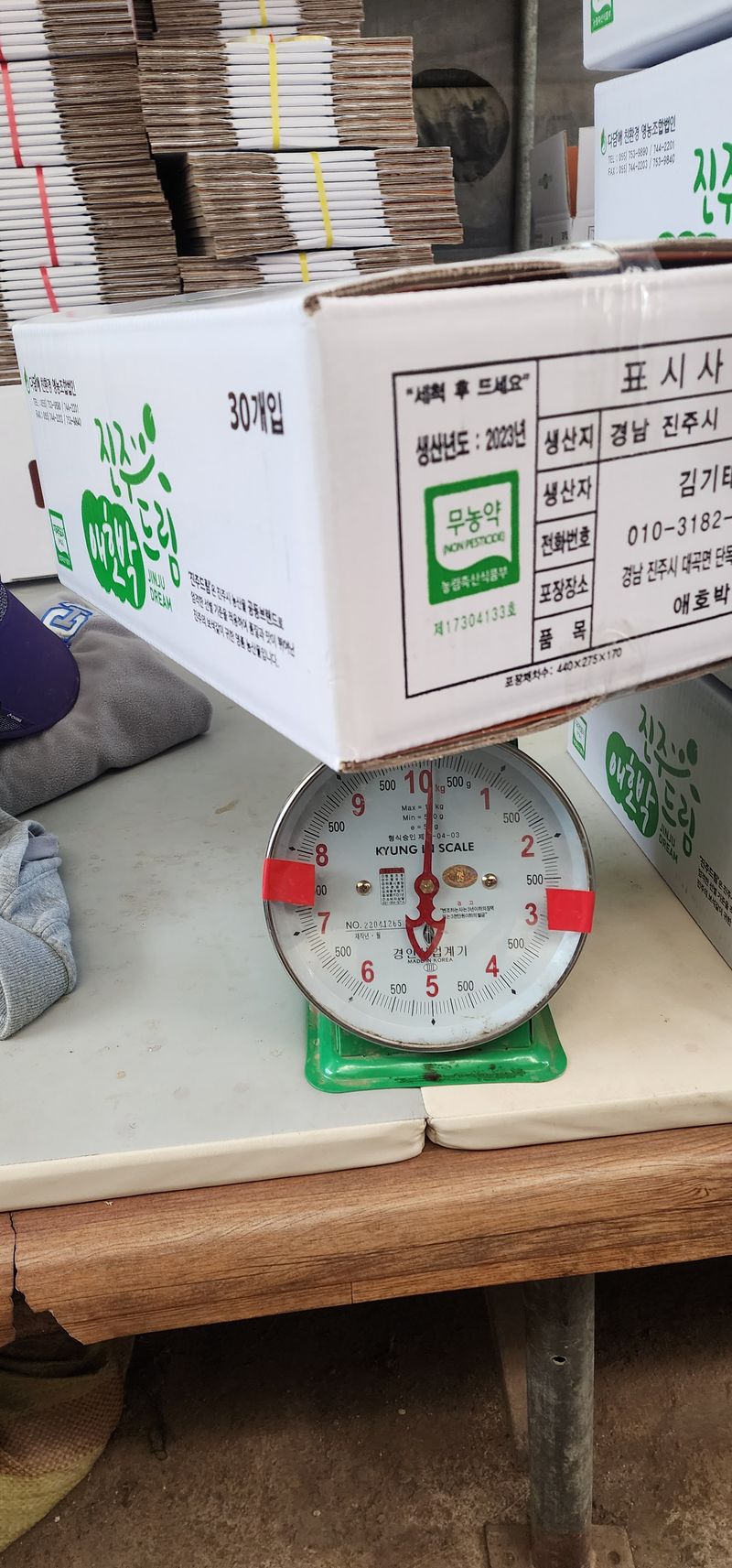 김기태님의 장터 판매 상품 [친환경 무농약 애호박 판매] 첨부 사진