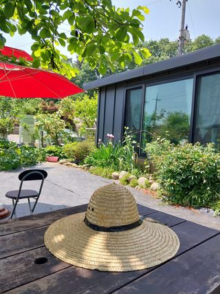 금동이네님의 복숭아 · 자유게시판 작성글 사진