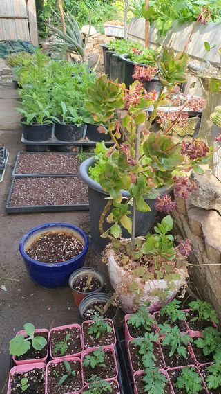 황의성님의 자유주제 · 사진전 작성글 사진