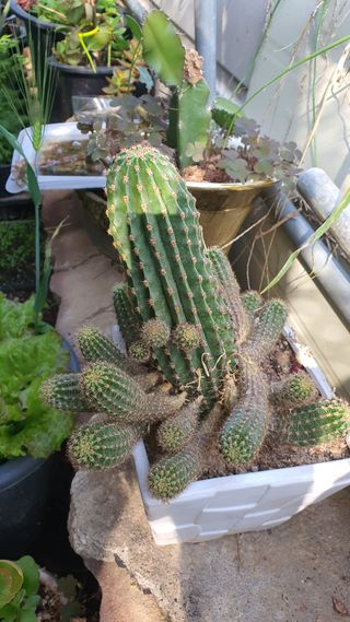 황의성님의 자유주제 · 사진전 작성글 사진