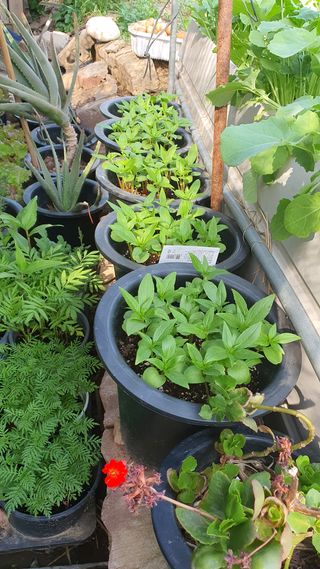 황의성님의 자유주제 · 사진전 작성글 사진