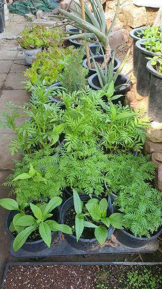 황의성님의 자유주제 · 사진전 작성글 사진