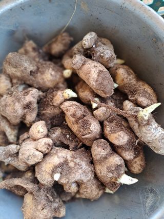 곽해영님의 기타작물 · 자유게시판 작성글 사진