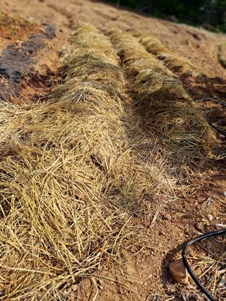 곽해영님의 기타작물 · 자유게시판 작성글 사진