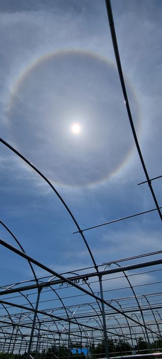 오동환님의 우리동네 · 동네수다 작성글 사진