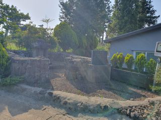 조상길님의 귤 · 일상 작성글 사진