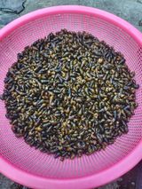 팜모닝 자유주제·자유게시판 게시글 이미지