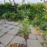 팜모닝 자유주제·자유게시판 게시글 이미지