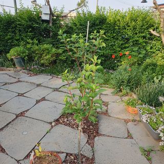 농부님의 자유주제 · 자유게시판 작성글 사진