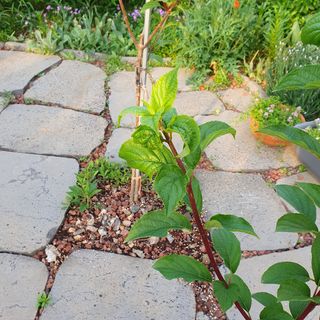 농부님의 자유주제 · 자유게시판 작성글 사진