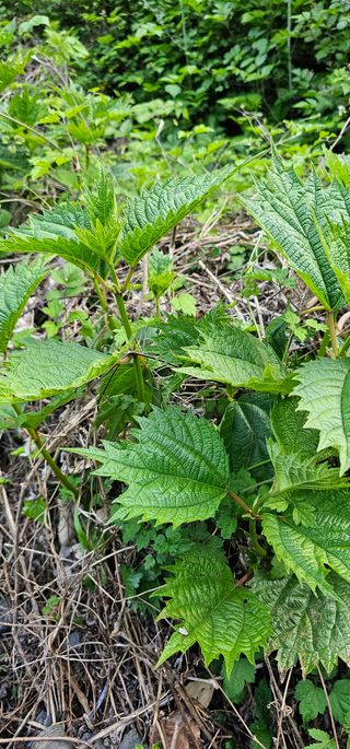 Pointlej님의 자유주제 · 자유게시판 작성글 사진