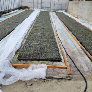 백호순(후추)님의 자유주제 · 사진전 작성글 사진