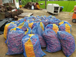 백호순(후추)님의 자유주제 · 사진전 작성글 사진