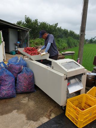 백호순(후추)님의 자유주제 · 사진전 작성글 사진
