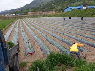 백호순(후추)님의 자유주제 · 사진전 작성글 사진