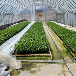 백호순(후추)님의 자유주제 · 사진전 작성글 사진