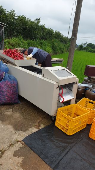 백호순(후추)님의 자유주제 · 사진전 작성글 사진