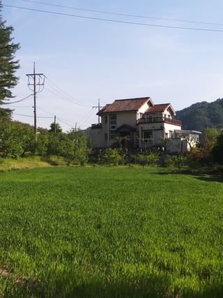 김명옥님의 자유주제 · 사진전 작성글 사진