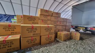 김동수님의 고구마 · 자유게시판 작성글 사진