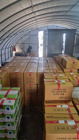 김동수님의 고구마 · 자유게시판 작성글 사진