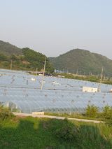 팜모닝 자유주제·사진전 게시글 이미지