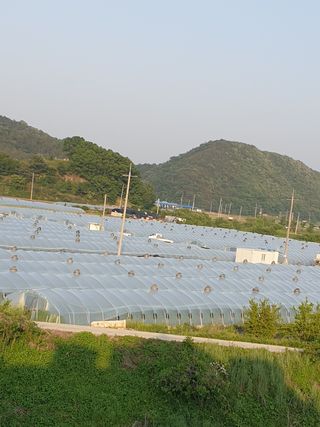 함안 권옥순님의 자유주제 · 사진전 작성글 사진