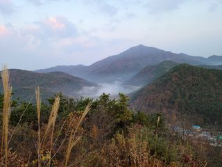 맑은하늘님의 자유주제 · 사진전 작성글 사진