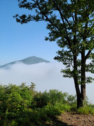 맑은하늘님의 자유주제 · 사진전 작성글 사진