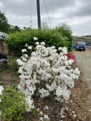 강희환님의 자유주제 · 사진전 작성글 사진