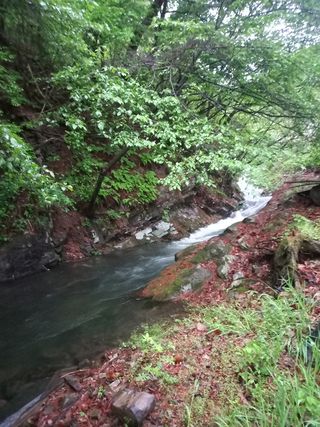 강희환님의 자유주제 · 사진전 작성글 사진