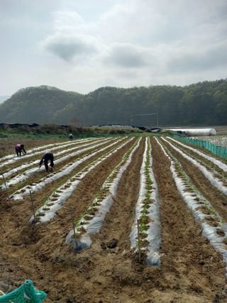 강희환님의 자유주제 · 사진전 작성글 사진