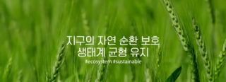그린톡톡 오계상님의 토마토 · 파종•정식 작성글 사진